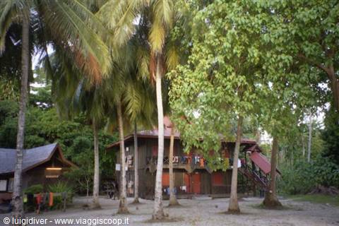 Wooden stilt houses among coconut palms and tropical trees, sand and daylight