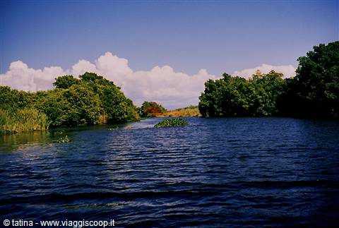 Wide river flanked by green mangroves, white clouds, blue rippling water