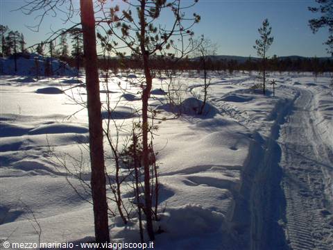 towards Pjelpajarvi