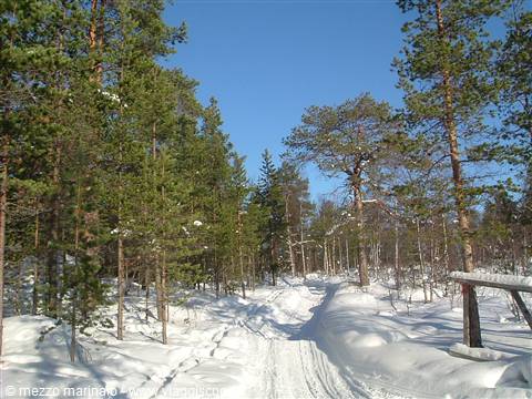 towards Pjelpajarven