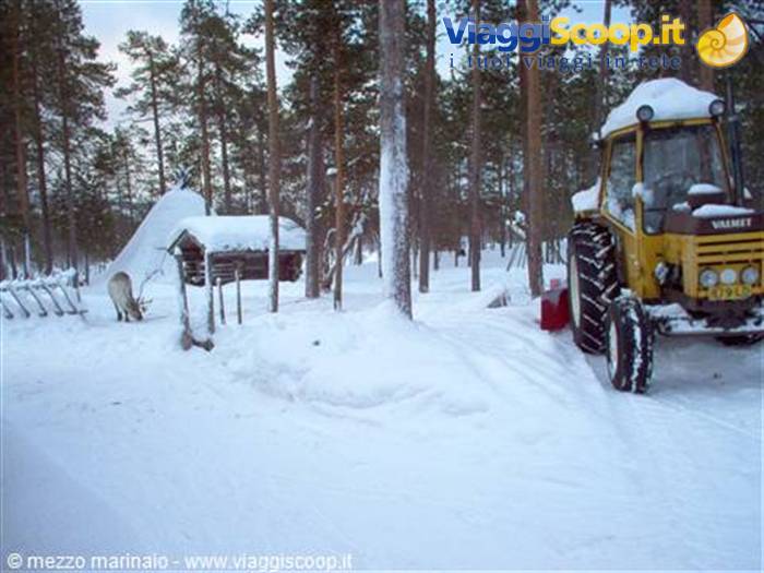 Yellow Valmet tractor covered in snow among pines, wooden cabin and reindeer