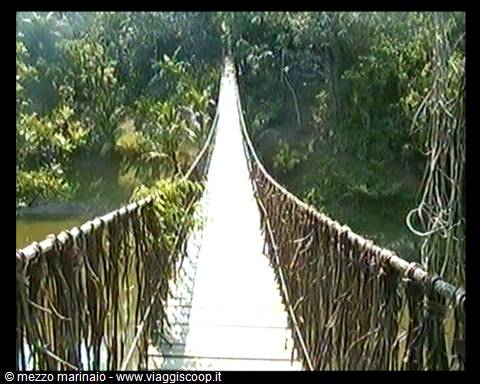 bridge