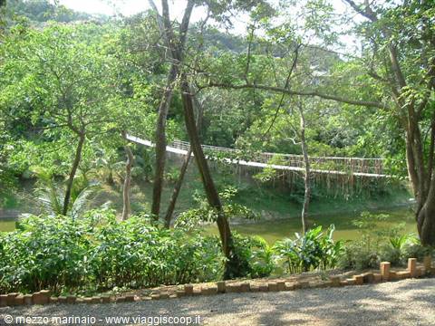 bridge