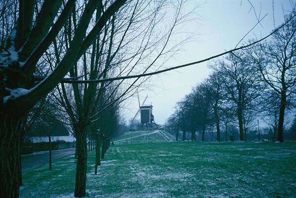 Bare snow-dusted tree in foreground, frozen meadow and windmill on the rampart