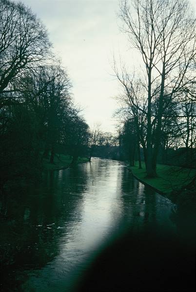 Dark river between bare trees and green lawn, grey winter sky