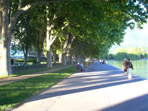 Tree-lined lakeside promenade with people strolling by the water