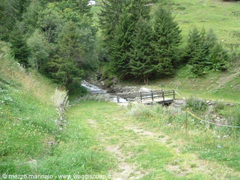 Wooden footbridge over a stream among fir trees and green meadows