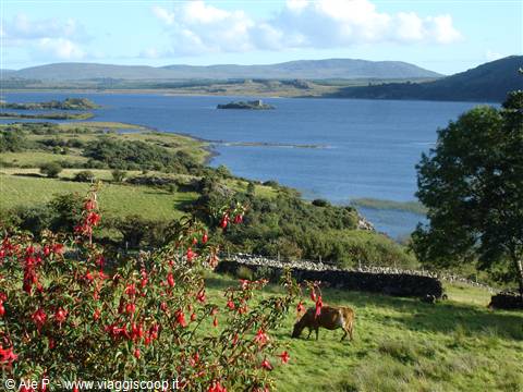 Connemara