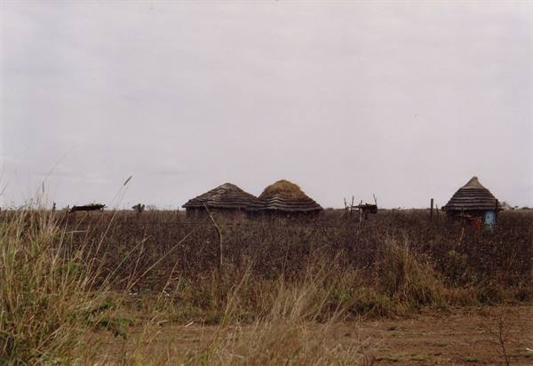 Swazi dwellings