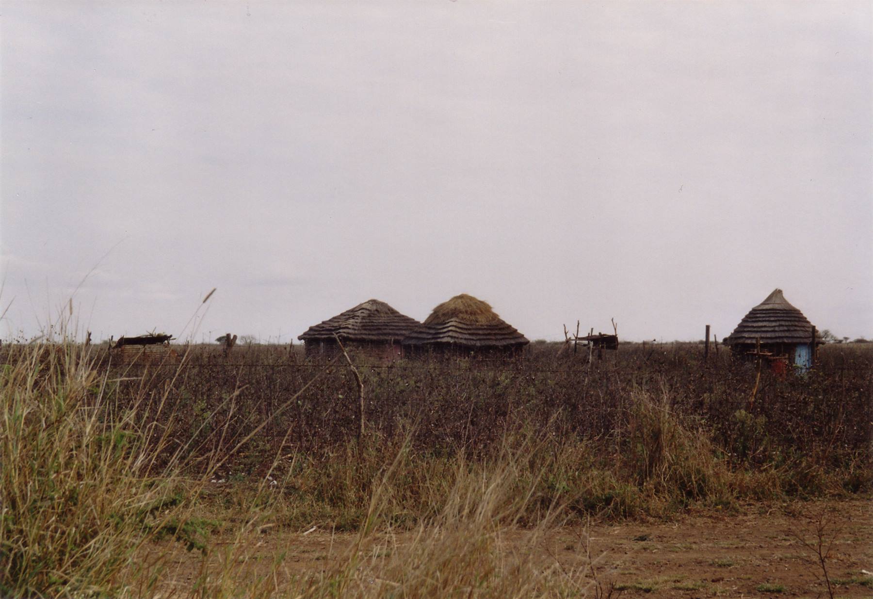 Swazi dwellings