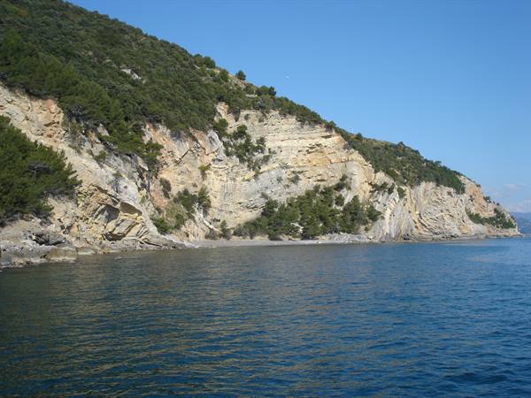 Palmaria Island