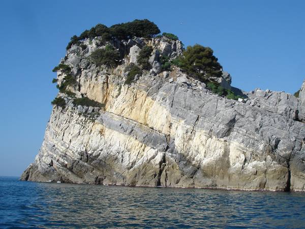 Palmaria Island