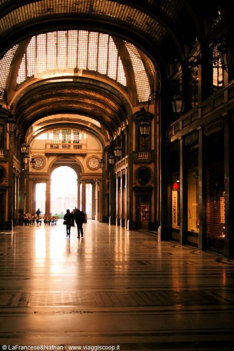 turin and its mole