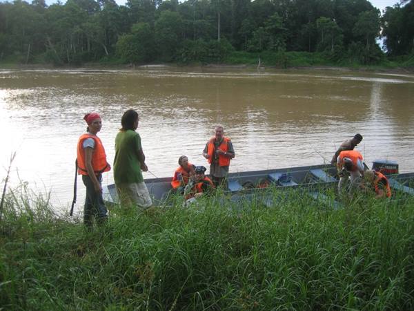 Kinabatangan river
