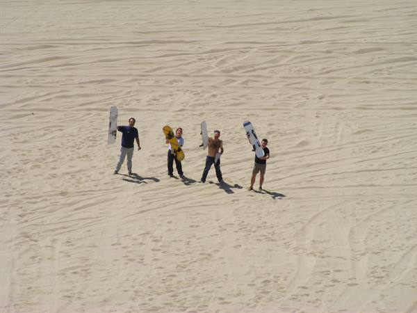 the four of surfing