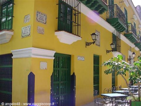 Havana