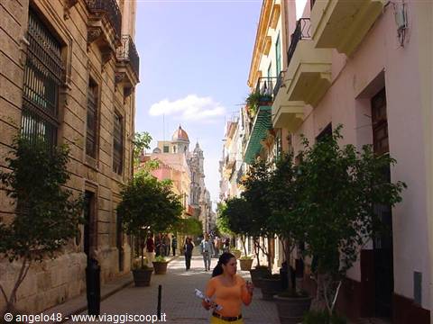 Woman in orange walks past potted trees along Old Havana colonial street