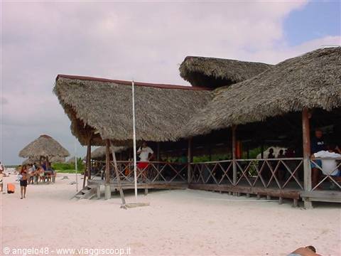 Thatched-roof beach bar on white sand, people resting under palm roof