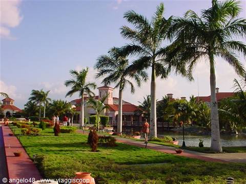 Tall palms and green lawn beside a pond, red-roofed buildings