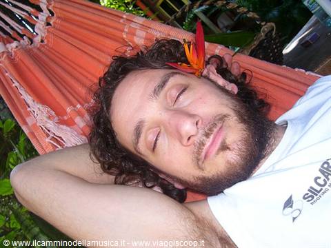 Curly-haired guy sleeping in orange hammock with a bird of paradise flower in his hair