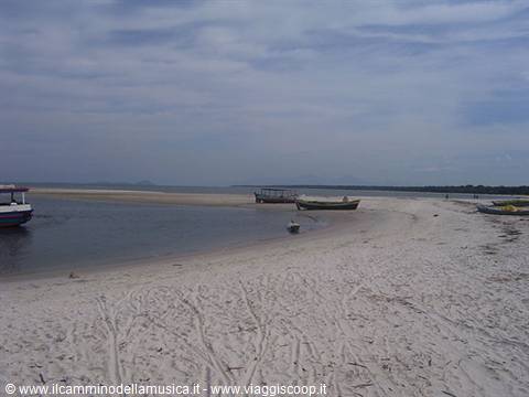 Wooden boats moored on a light sandy beach under a cloudy sky