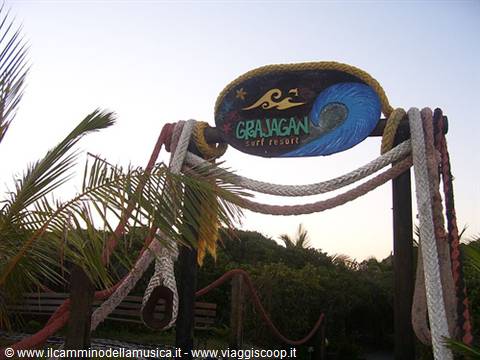Painted wooden sign of Grajagan Surf Resort among ropes and palm trees