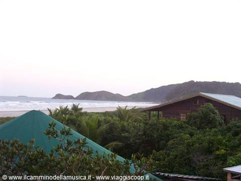 Green roofs among palms in front of the beach and wooded hills