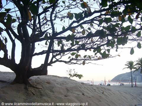 Tree on Copacabana sand, twisted branches against the sky, palms and people on the beach