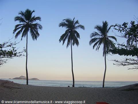 Three tall palms on sandy beach before calm sea at dawn