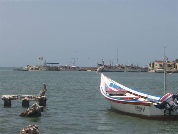 Pelicans on posts and a fishing boat moored in the harbor, bright light