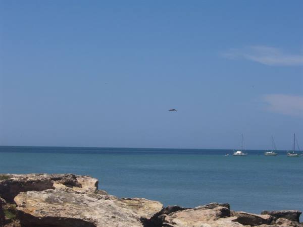 Pale rocks in the foreground, sailboats anchored on the blue sea
