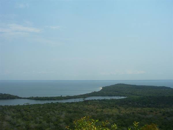 Green vegetation over coastal hills and calm bays under hazy sky