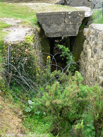 Concrete bunker surrounded by barbed wire, green bushes and mossy rocks