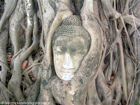 Ayuthaya - Historical Park - Wat Phra Mahathat