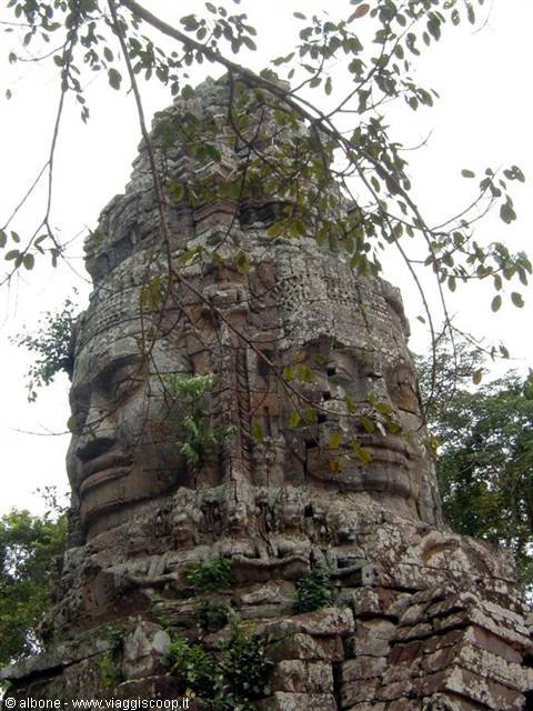Angkor - Ta Prohm