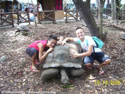 Two kids hug a giant tortoise among trees and wooden fences