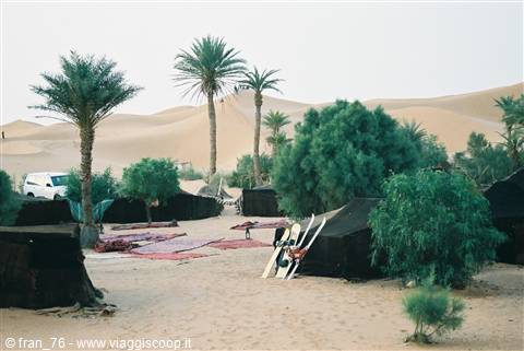oasis