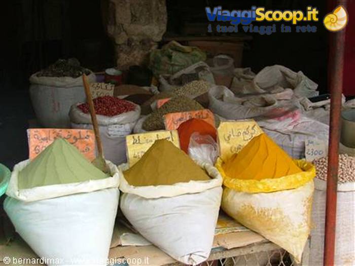 colours and scents of the desert