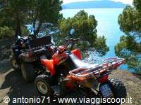 Two red quad bikes parked on a dirt trail among pines, blue sea behind