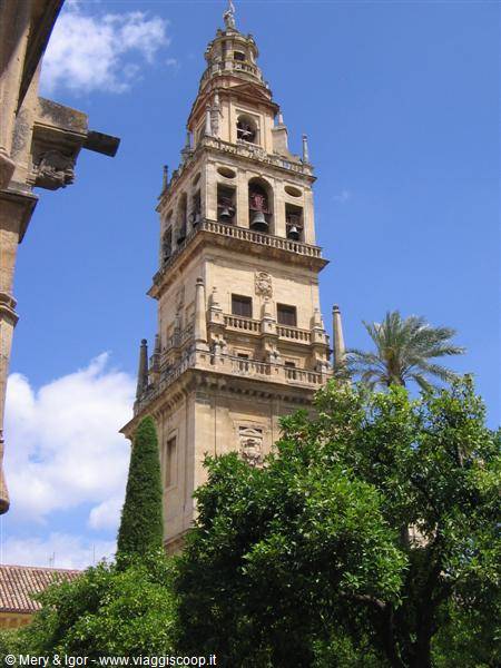Cordoba - the Cabildo