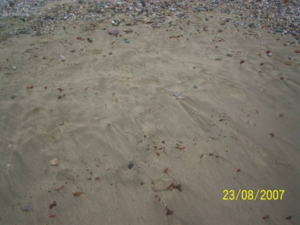The sand