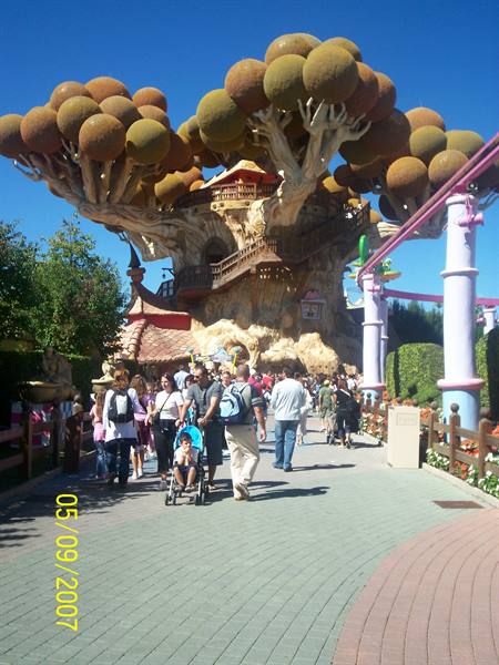 The Magic House