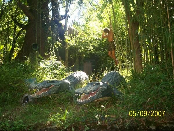 The forest in one of the TUNGA rides