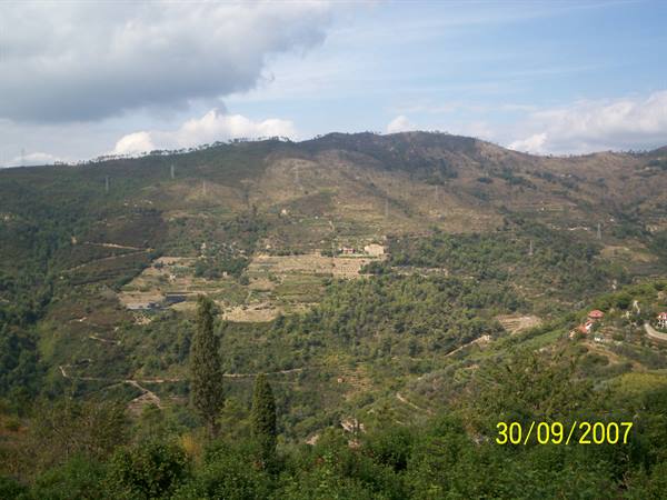The valley