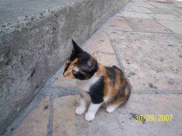 One of the new 'inhabitants'