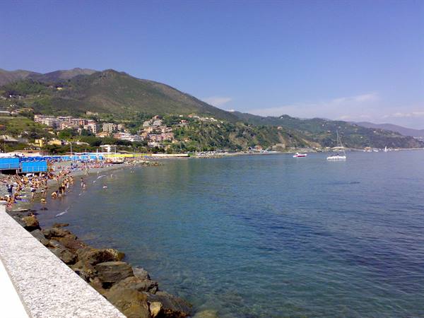 The coast