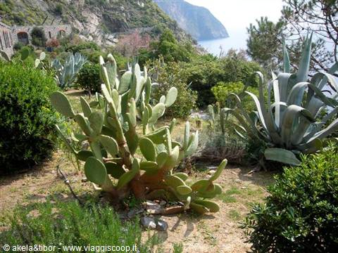 small garden along the path