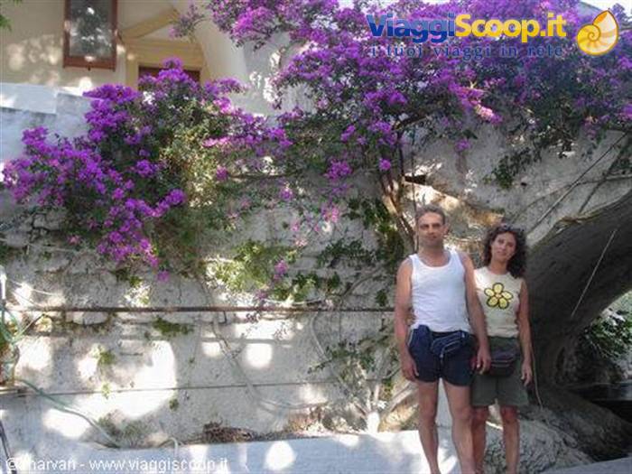 Couple in front of white wall covered with purple bougainvillea