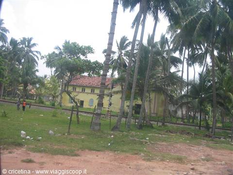 Yellow house with terracotta roof among tall palm trees, people walking on grass