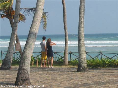 Couple among palm trees on beach facing choppy sea